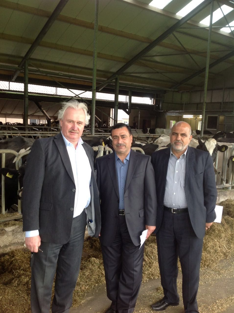 Dairy Cattle Supply Project